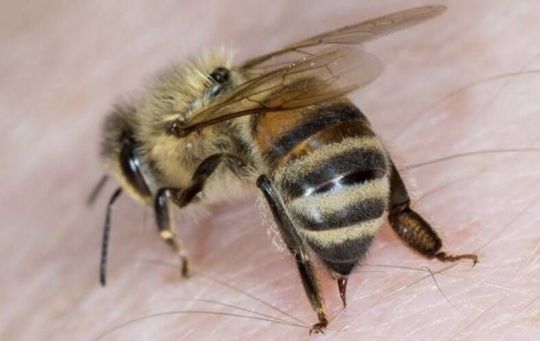 bišu produkti dzimumlocekļa paplašināšanai